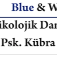 Blue & White Psikolojik Danışmanlık