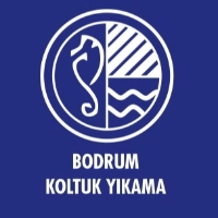 Bodrum Koltuk Yıkama