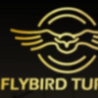 Flybird Turizm