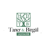 Taner Birgül Zeytincilik